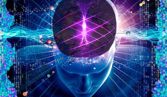 İnsan Beyni Bir Kıyaslama&nbsp;Makinesidir